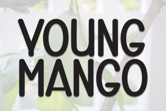 Young Mango: A Bold Display Typeface for Editorial Design